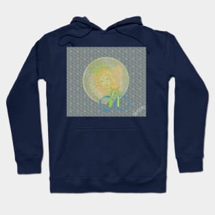 Angel child dolphins Hoodie